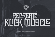 Pluck Font, a Font by Grontype (Thumbnail 5 of 12)