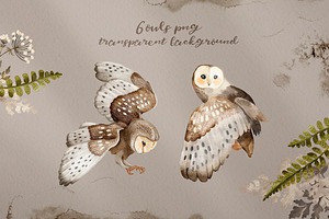 Owls Story Watercolor Forest Clipart