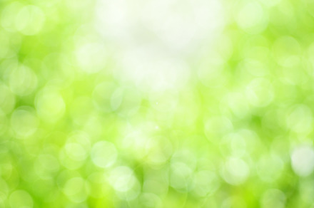 Green natural bokeh, an Abstract Photo by Anatoliy Sadovskiy