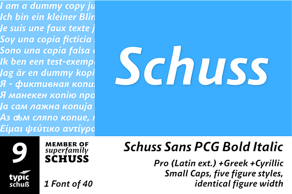 SchussSansPCGBoldIta No.09 (1 Font) preview 6