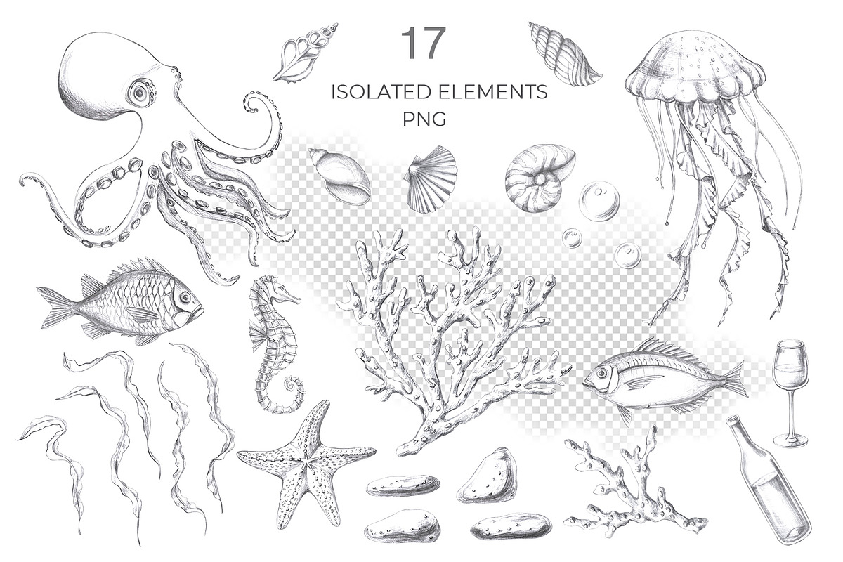 Underwater world, pencil graphics, an Animal Illustration by SvetLana (Photo 2 of 15)