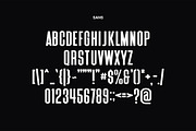 Triester SVG Brush Font Free Sans, a Script Font by Maulana Creative (Thumbnail 7 of 11)