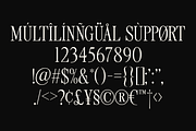 Tirone - Display Serif Font, a Font by Viswell (Thumbnail 9 of 10)