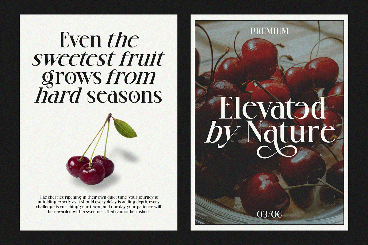 Quenor – Modern Editorial Serif Font, a Serif Font by shineink.designlab (Photo 2 of 10)