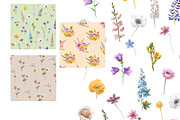 Watercolor summer wild flowers., an Illustration by yulia.sukhanova (Thumbnail 4 of 4)
