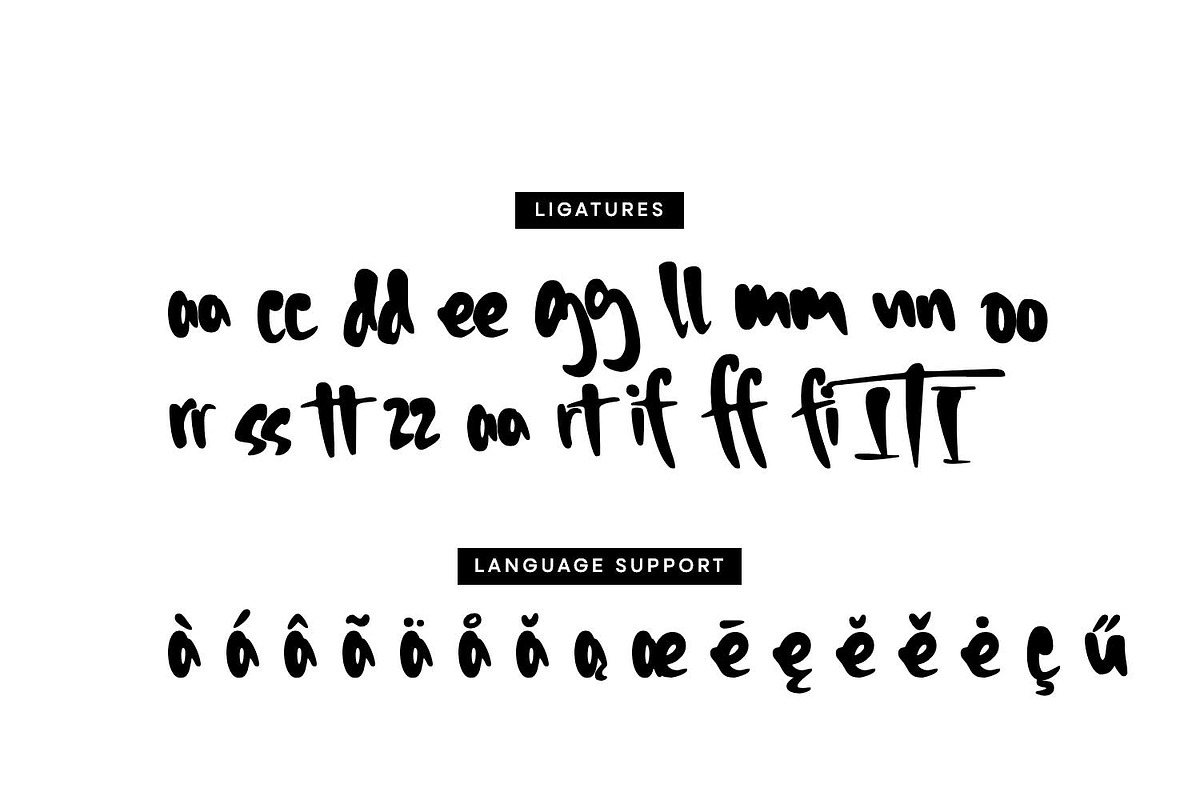 Timberwolf - Expressive Handwritten, a Handwritten Font by Cititype (Photo 13 of 14)