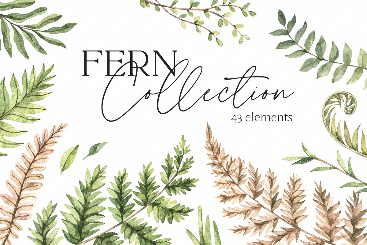 Modern Bundle | Logo | Watercolor, a Food Illustration by Kate Macate (Photo 14 of 19)