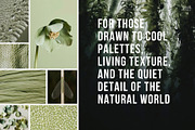 Cool nature | 325 stock photos, a Background Photo by Tale.Haus (Thumbnail 3 of 19)