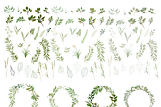 Leafy Green Botanical Clip Art, an Illustration by Kelly Jane Creative (Thumbnail 3 of 3)