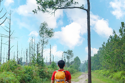 traveler man hiking enjoying in the mountains with backpack at P, a Nature Photo by Casanowe-studio