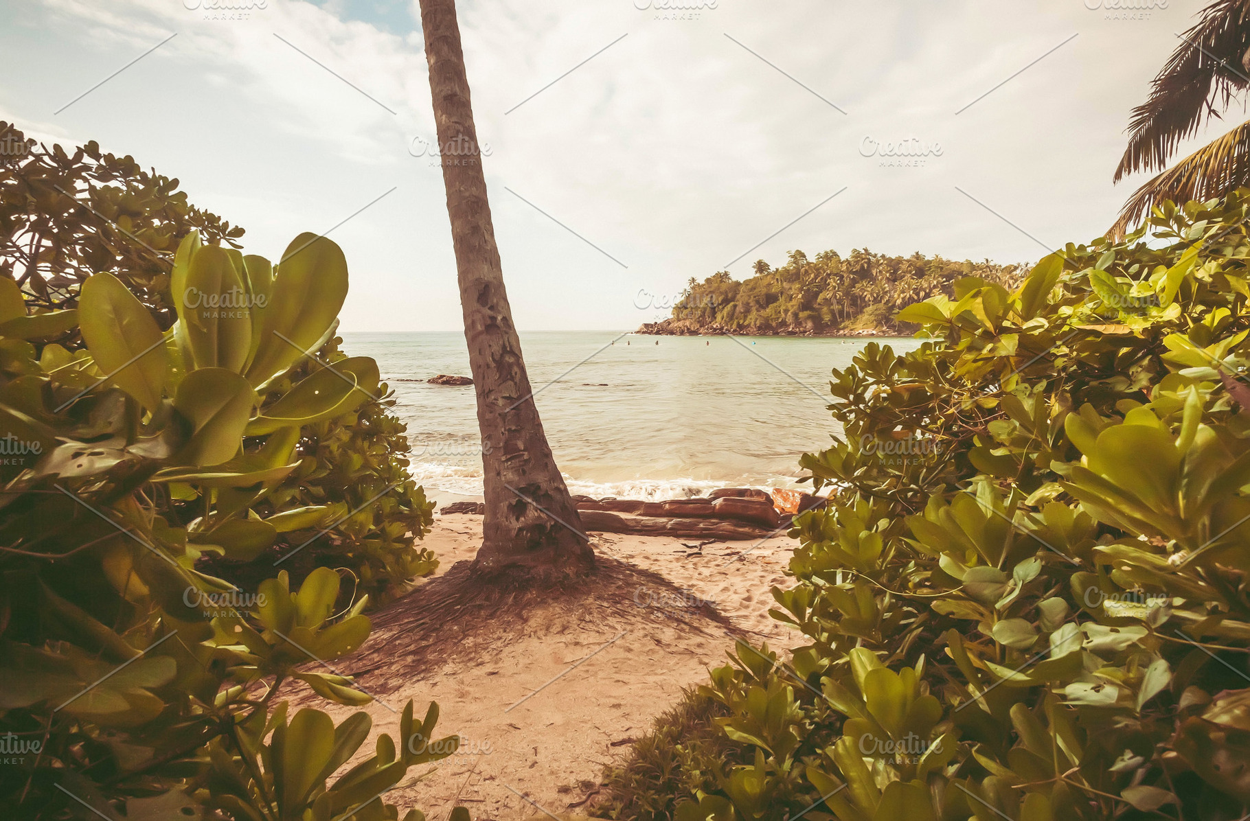 Beach with palm trees featuring beach, coconut, and landscape, a Nature Photo by Radiokafka