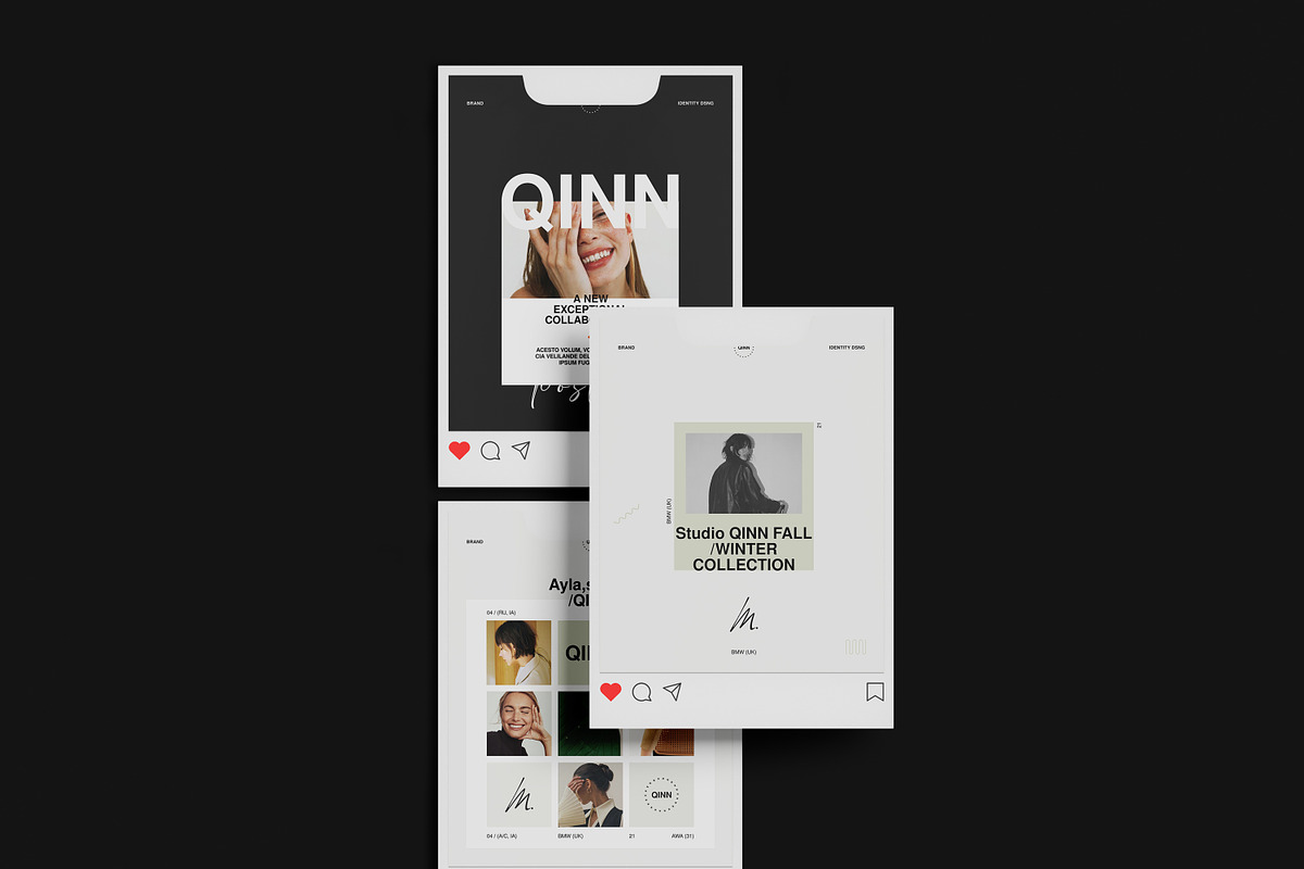 QINN / Social Media Kit, a Social Media Template by Studio Elevate (Photo 8 of 11)