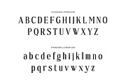 Flurries - Serif Display Font, a Serif Font by Brainwaves.Studio (Thumbnail 3 of 8)