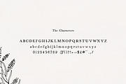 Alchemist Serif Font, a Serif Font by Salt & Pepper Designs (Thumbnail 6 of 8)