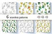 Birch leaf. Sketch and patterns, an Illustration by Canatic (Thumbnail 3 of 10)
