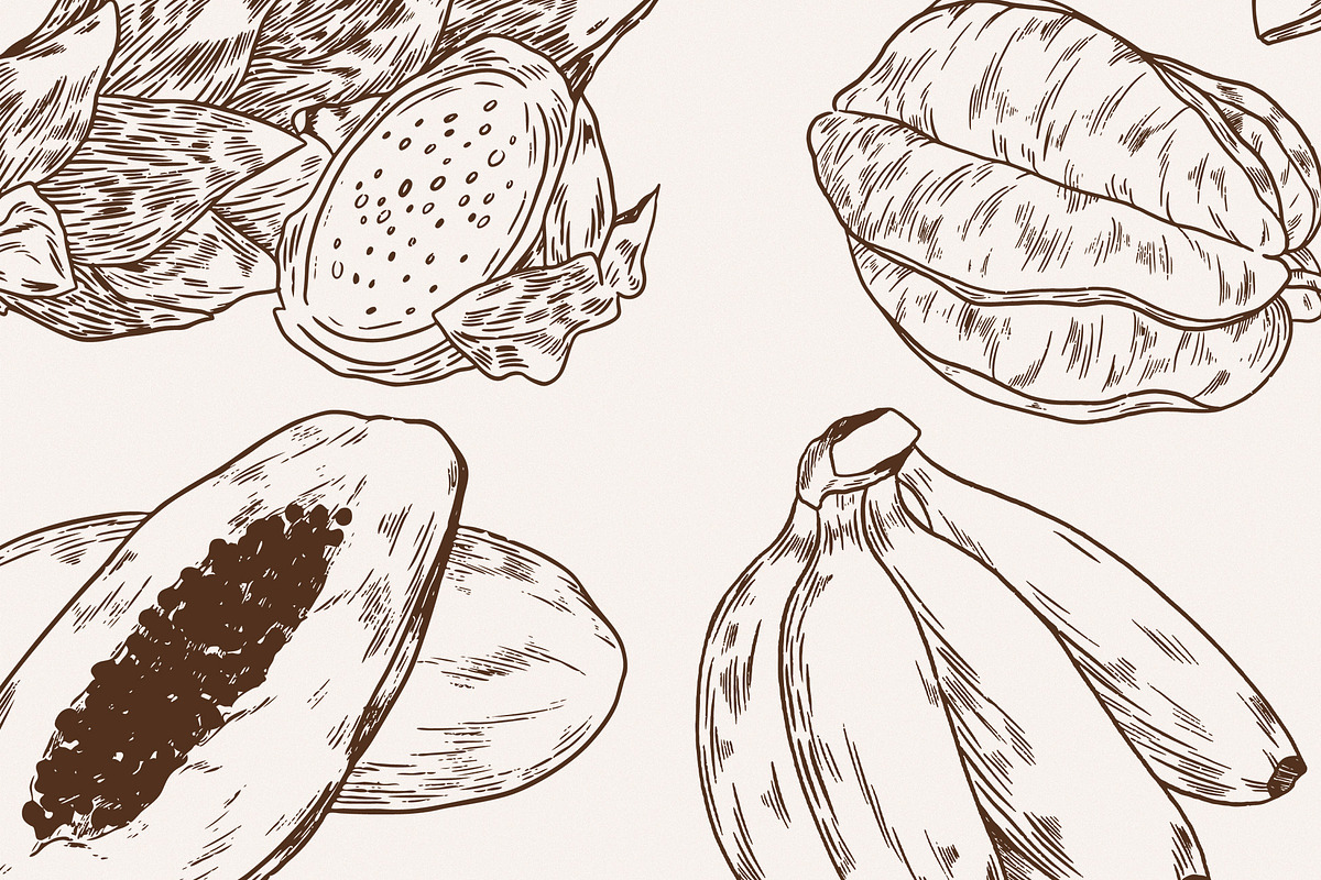 Exotic fruits Illustrations, a Food Illustration by MargauxQuercy (Photo 4 of 4)