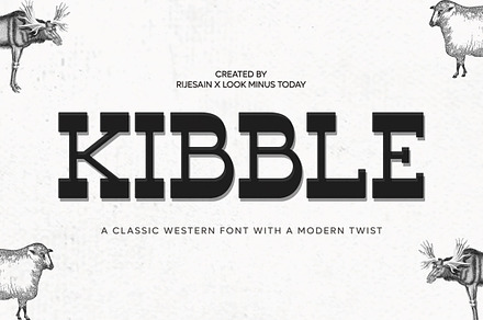 Kibble - Vintage Modern Font