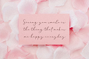 Cherolina-Lovely Elegant Script, a Script Font by Almarkhatype (Thumbnail 7 of 13)