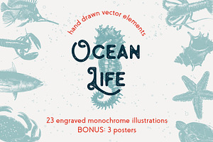 Ocean life hand drawn sketches