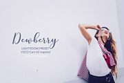 Desktop Lightroom Presets DEWBERRY, an Action Add-On by Victoria Bee Presets (Thumbnail 8 of 18)