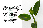 Ostende, a Script Font by Larin Type Co. (Thumbnail 6 of 9)