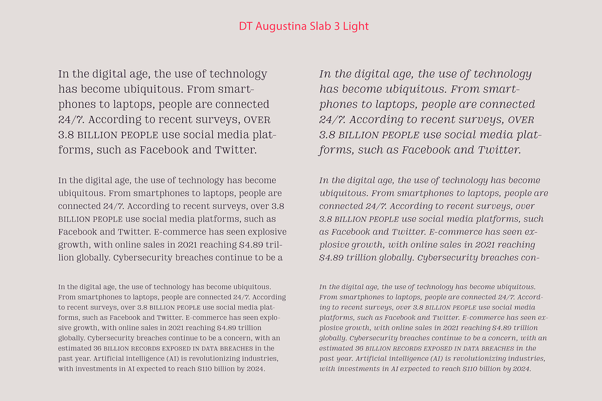 DT Augustina Slab 3 Subfamily, a Slab Serif Font by Deveze Type Foundry (Photo 6 of 31)