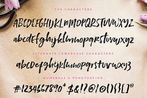 Paris Dreamer Script Bonus Font