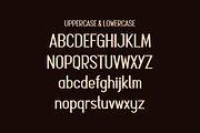 Soenir - Modern Display Font, a Sans Serif Font by lelevien (Thumbnail 3 of 4)