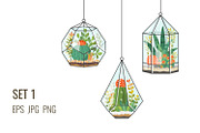 Plants and cacti in terrariums, a Decorative Illustration by Primula`s shop (Thumbnail 2 of 4)