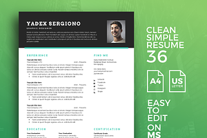 Resume Template 36