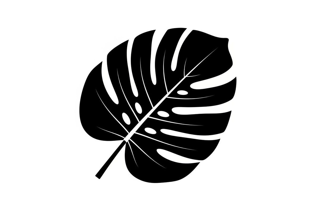 Monstera Leaf Silhouette Bundle, an Illustration by yasushie (Photo 8 of 31)
