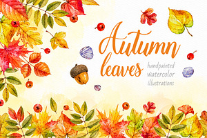 Autumn leaves. Watercolor collection