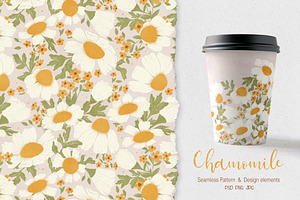 Chamomile