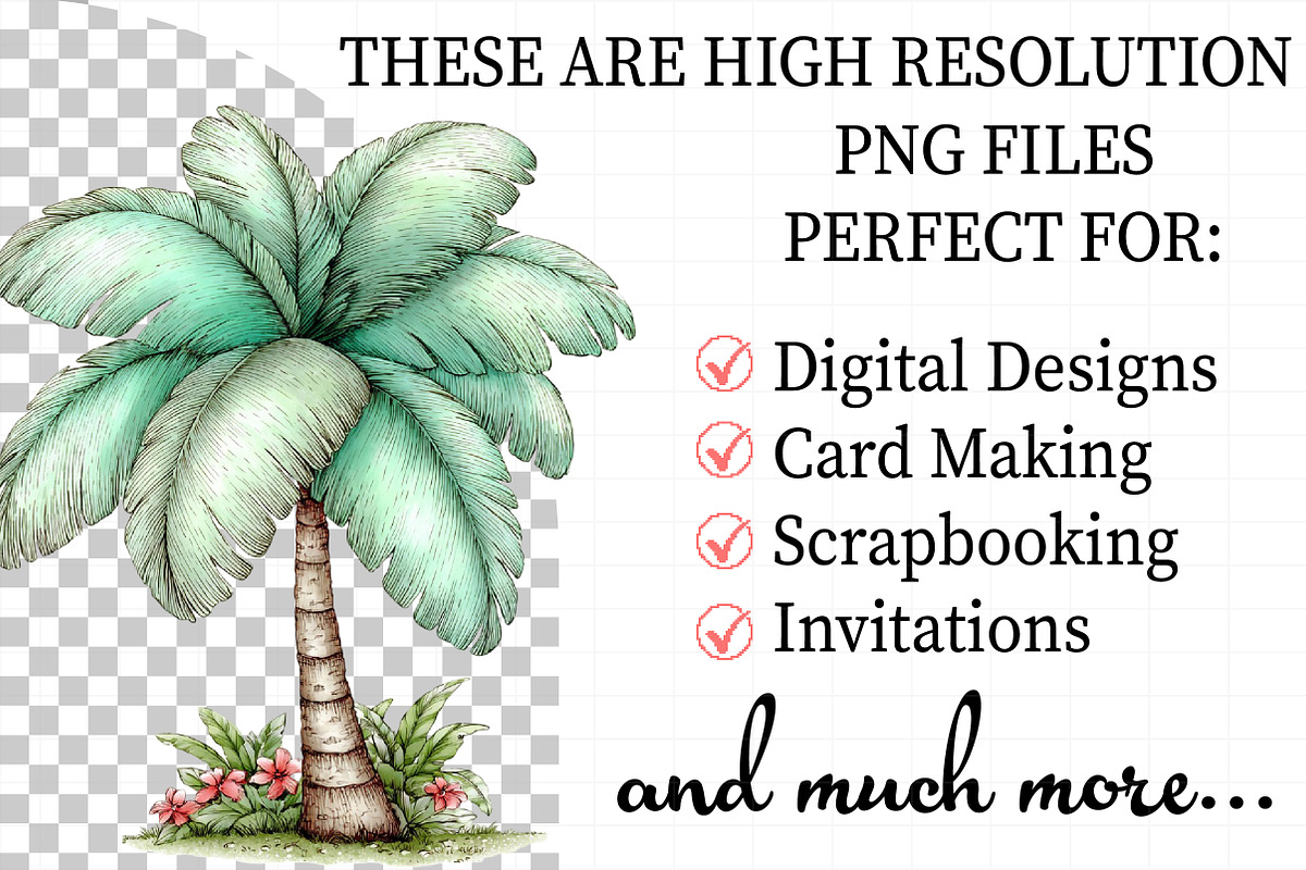Summer Beach Palm Tree Clipart, an Illustration by Daily.Designs (Photo 2 of 7)