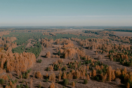 Autumn yellow and green forest in Ural, a Nature Photo by TravelFlow