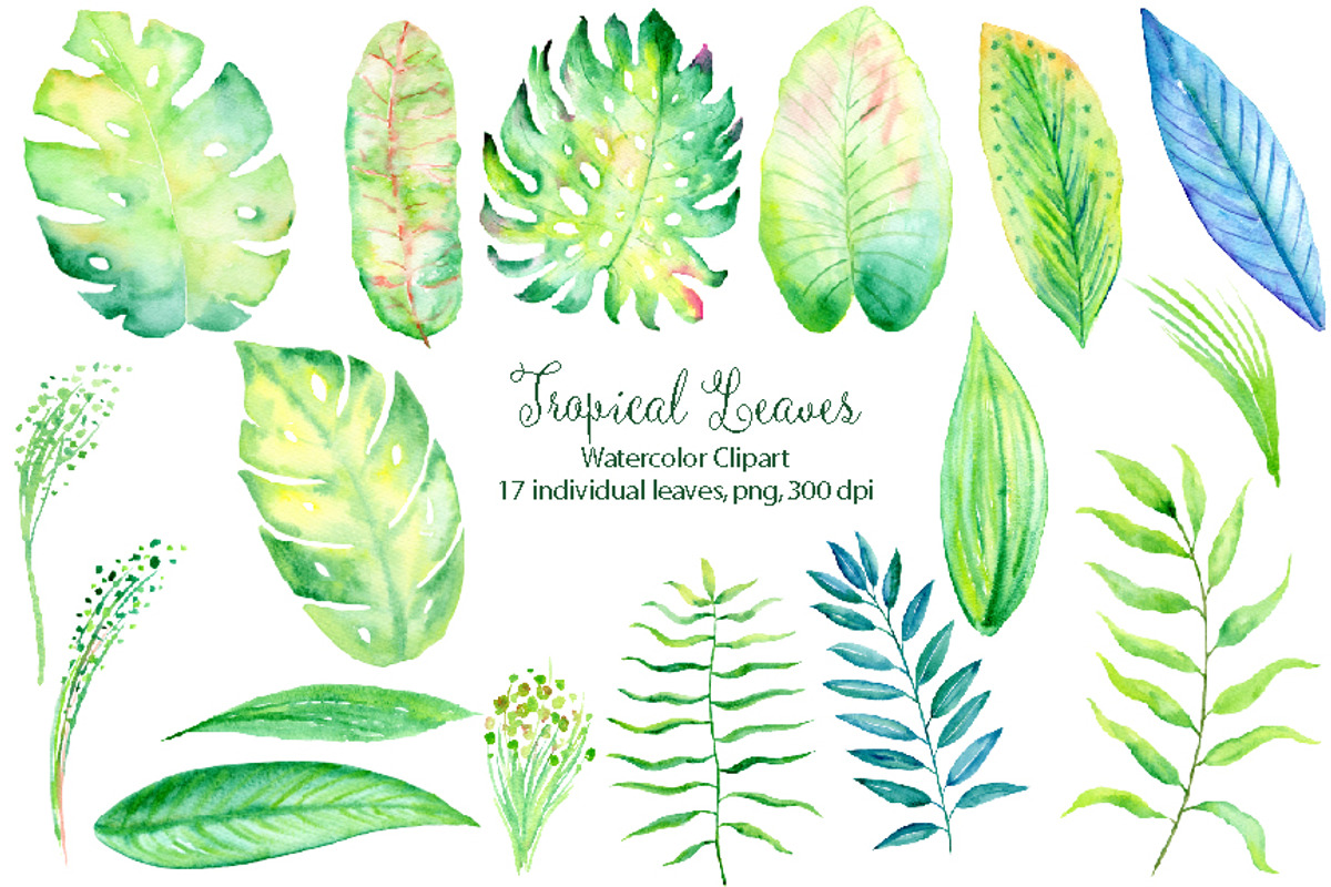 Watercolor Tropical Collection, an Illustration by Corner Croft (Photo 5 of 6)