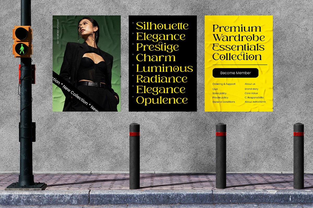 Magode Collection Modern Serif, a Serif Font by timelesstype.co (Photo 2 of 10)