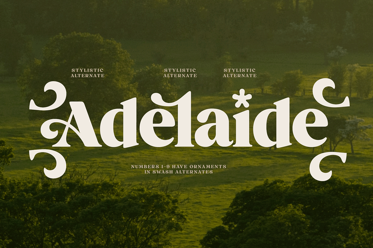 Briston Serif, a Serif Font by Fenotype (Photo 13 of 14)