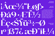 Quarty Serif, a Serif Font by Propertype (Thumbnail 7 of 14)