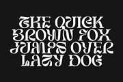 Struick Display Serif, a Serif Font by Violet Natural (Thumbnail 8 of 10)