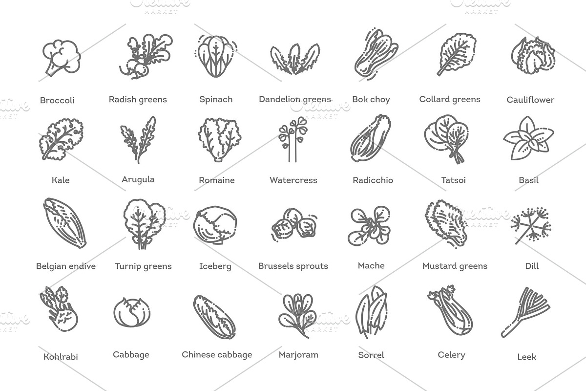 Green Salad Leaves. Vector icons, a Food Illustration by Tettygreen (Photo 2 of 3)