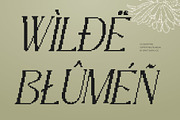 CS Giova Pixel, a Serif Font by Craft Supply Co. (Thumbnail 4 of 8)