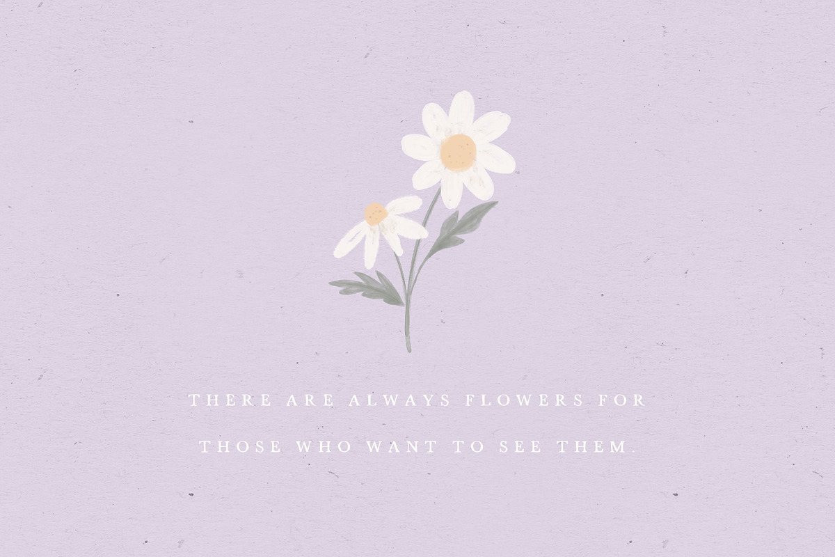 WATERCOLOR DAISY / illustration set, an Illustration by KruthDesign (Photo 7 of 7)