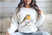 Autumn American Robin Bird Clipart, an Illustration by Watercolor design (Thumbnail 2 of 5)