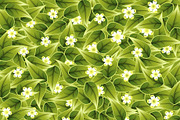 Textures and Patterns Backgrounds, a Decorative Illustration by TAlex (Thumbnail 5 of 6)