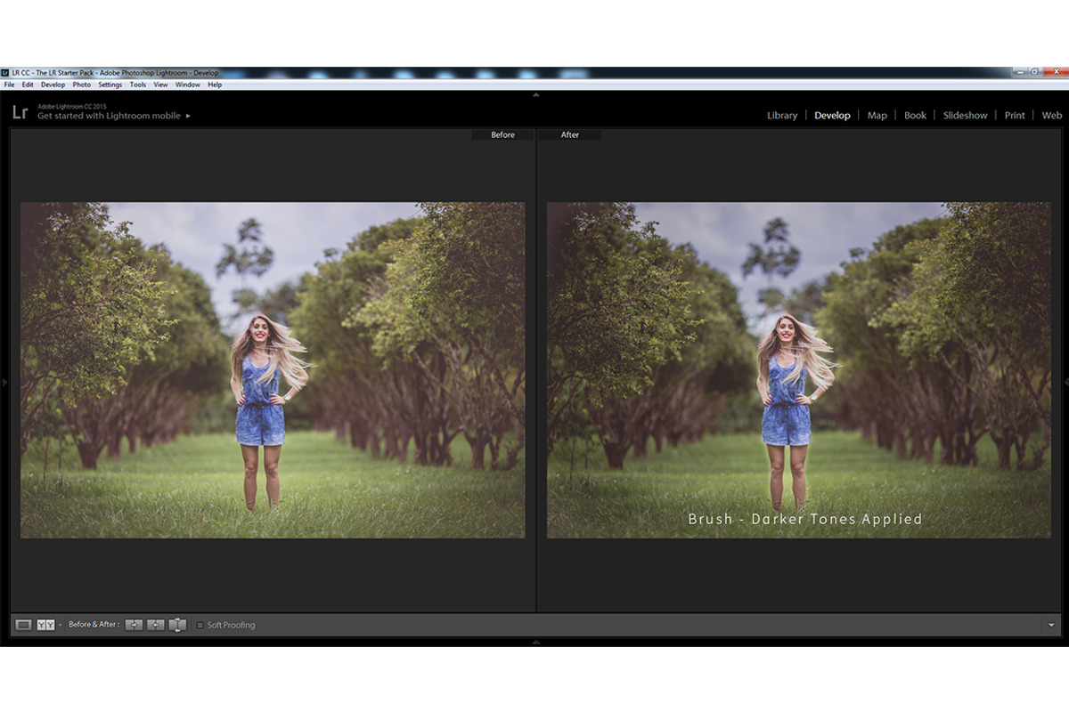 Essential Lightroom Brush Presets preview 8