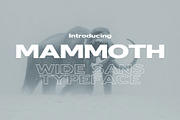 Mammoth - Wide & Bold, a Sans Serif Font by HipFonts (Thumbnail 1 of 9)