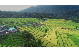 Beautiful rice terraces surrounded, a Nature Photo by Goinyk