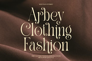 Salmon Elegant Serif Font, a Serif Font by Perfectype (Thumbnail 3 of 8)