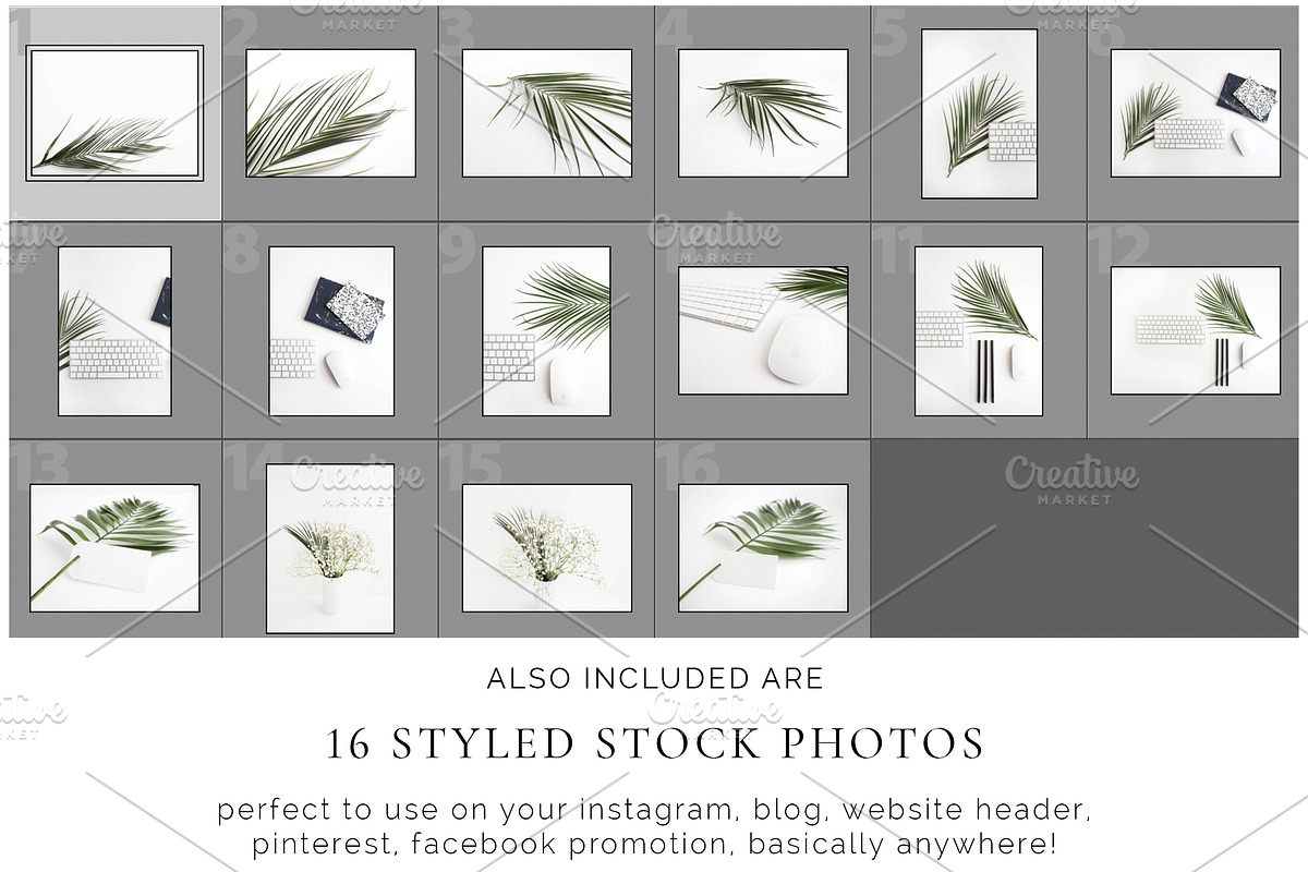 The Palm Leaves Bundle, a Print Template by Imperium Nordique (Photo 5 of 5)